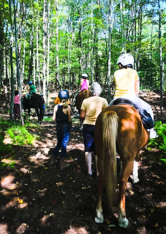 Therapeutic school based Riding Program