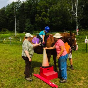 Therapeutic Riding Program